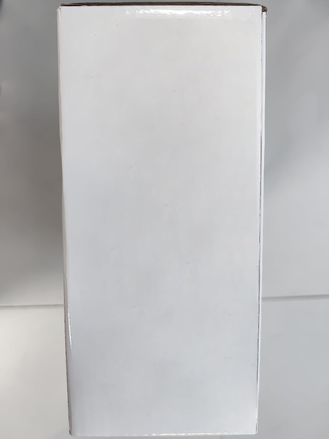 Inserto per Bidet per WC, Non Elettrico, Sottile Bottone Automatico, Bidet, Doppio Ugello Autopulente Retrattile (Protezione Da Intasamento) E Manopola per La Regolazione Della Pressione