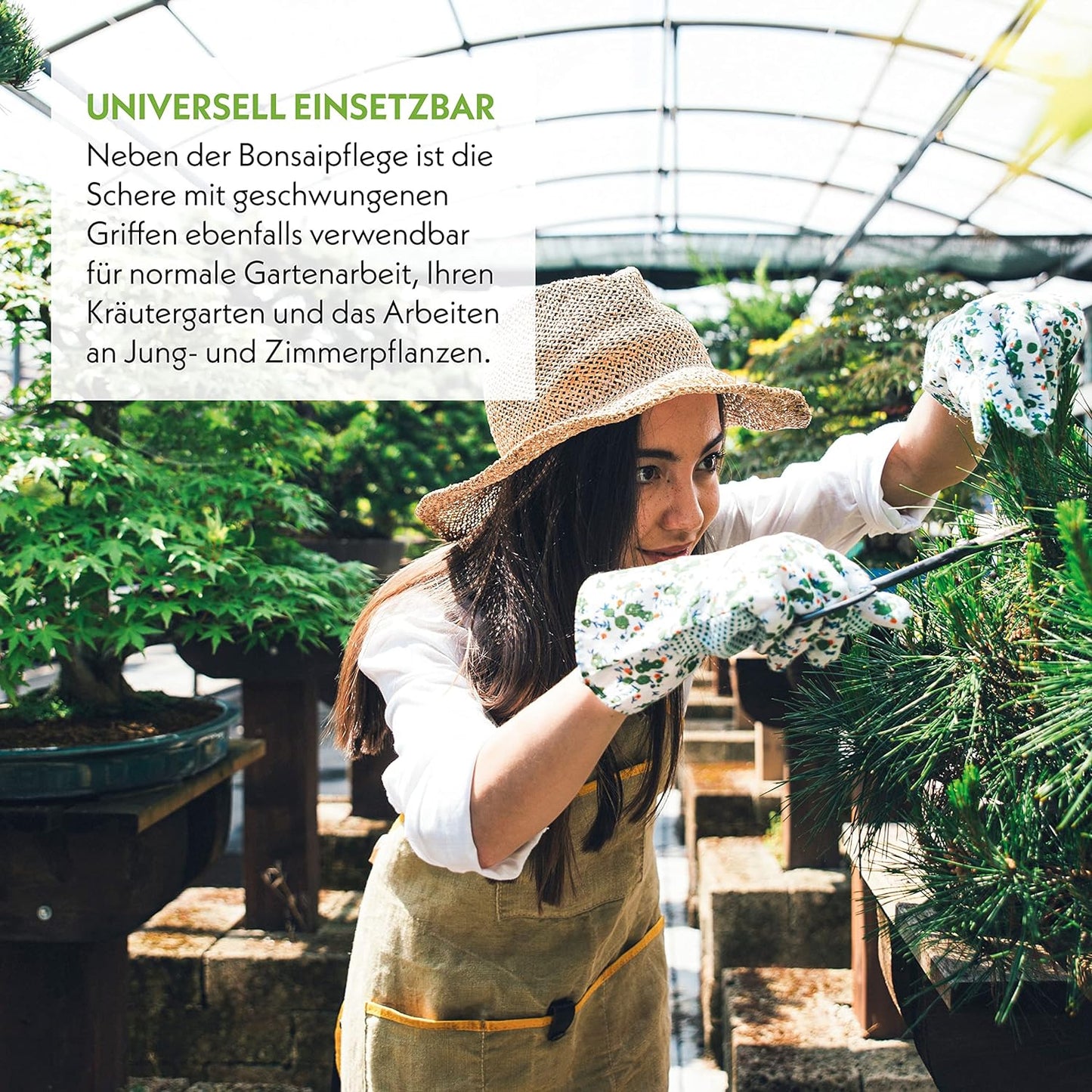 Forbici per Bonsai in Acciaio Affilato - Strumento Tradizionale per La Coltivazione Professionale Dei Bonsai - Ideale per Gemme, Foglie E Rami