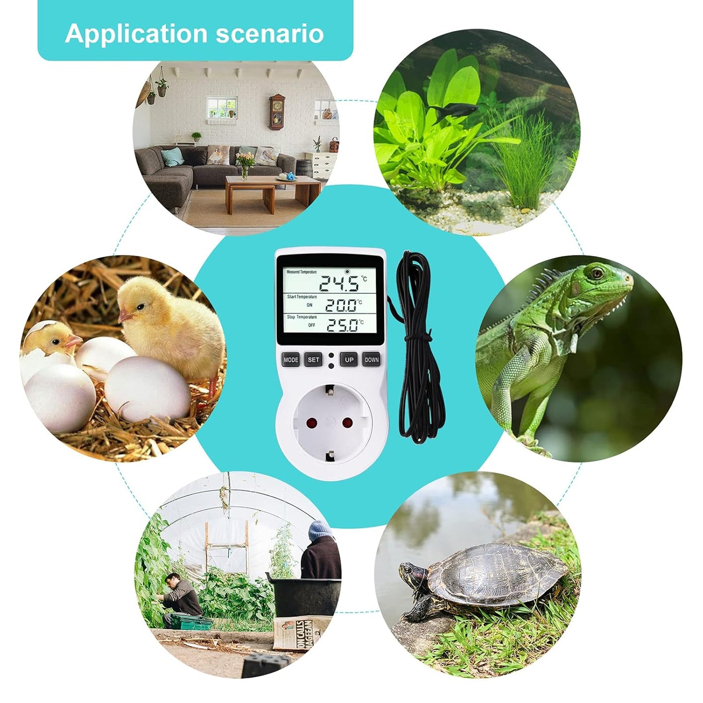 Digitale Termostato Regolatore Temperatura LCD Multifunzione Con Timer E Sonda per Serra, Acquario, Riscaldamento, Terrario, Acquario, Rettili, Incubatore (EU)