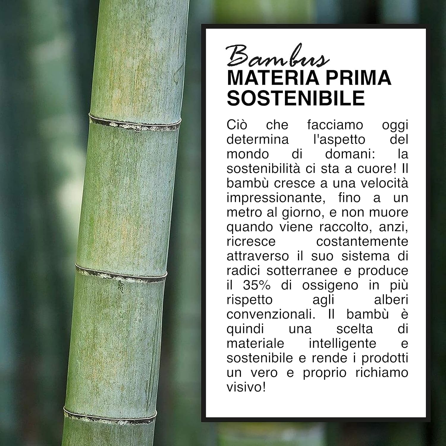 | Organizer Scrivania Bamboo – Portaoggetti Multifunzionale Ed Elegante Con Più Scomparti – Disponibile in 3 Dimensioni – Realizzato in Legno Di Bambù – Dimensioni 11X24X25 Cm