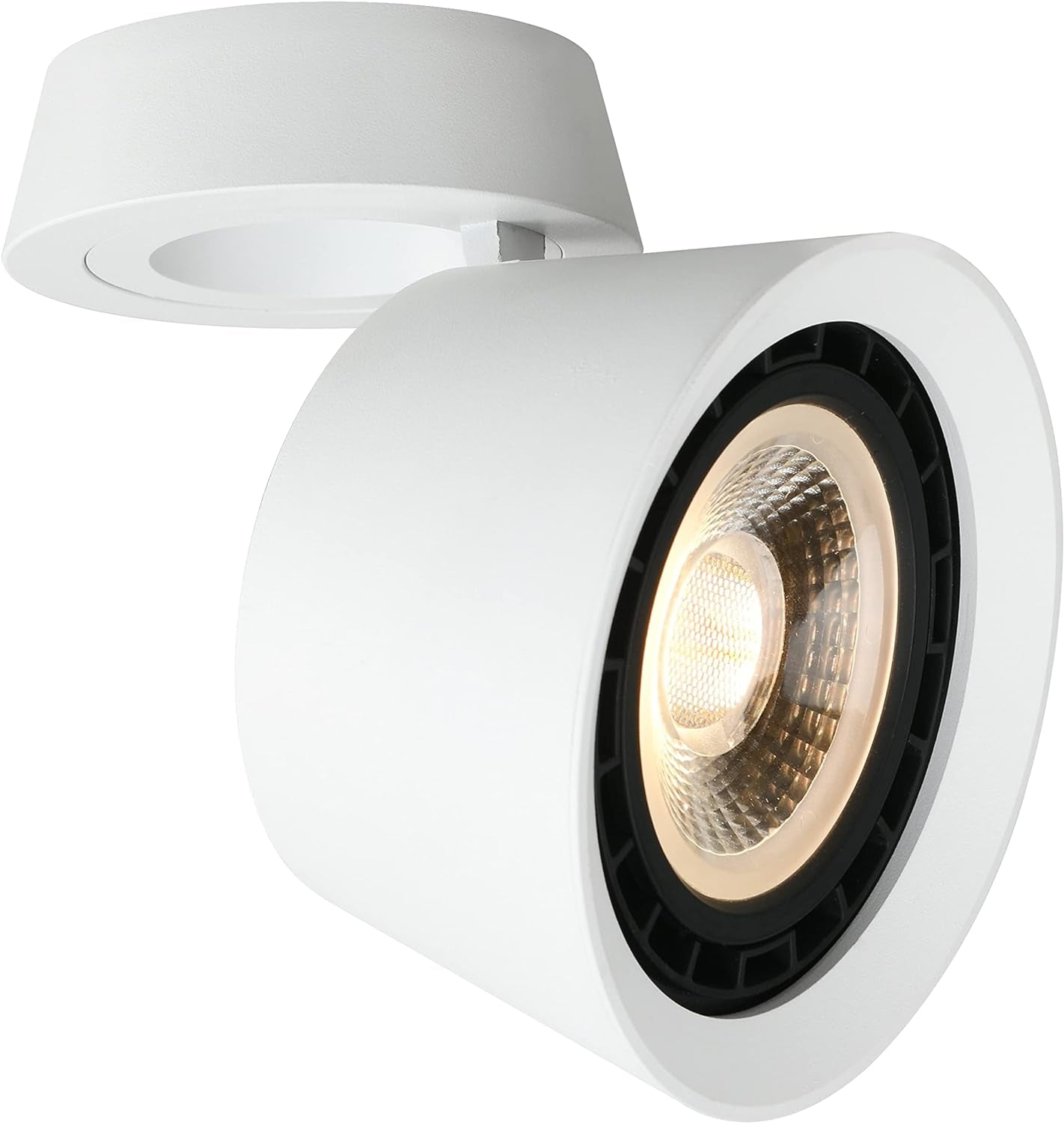 12W Plafoniera LED Soffitto Moderna Dimmerabile Faretti a LED per Interni Faretti LED Da Soffitto Orientabili Lampada Da Soffitto Rotondo Spot Da Soffitto Bianca Ruotata Di 360 Gradi