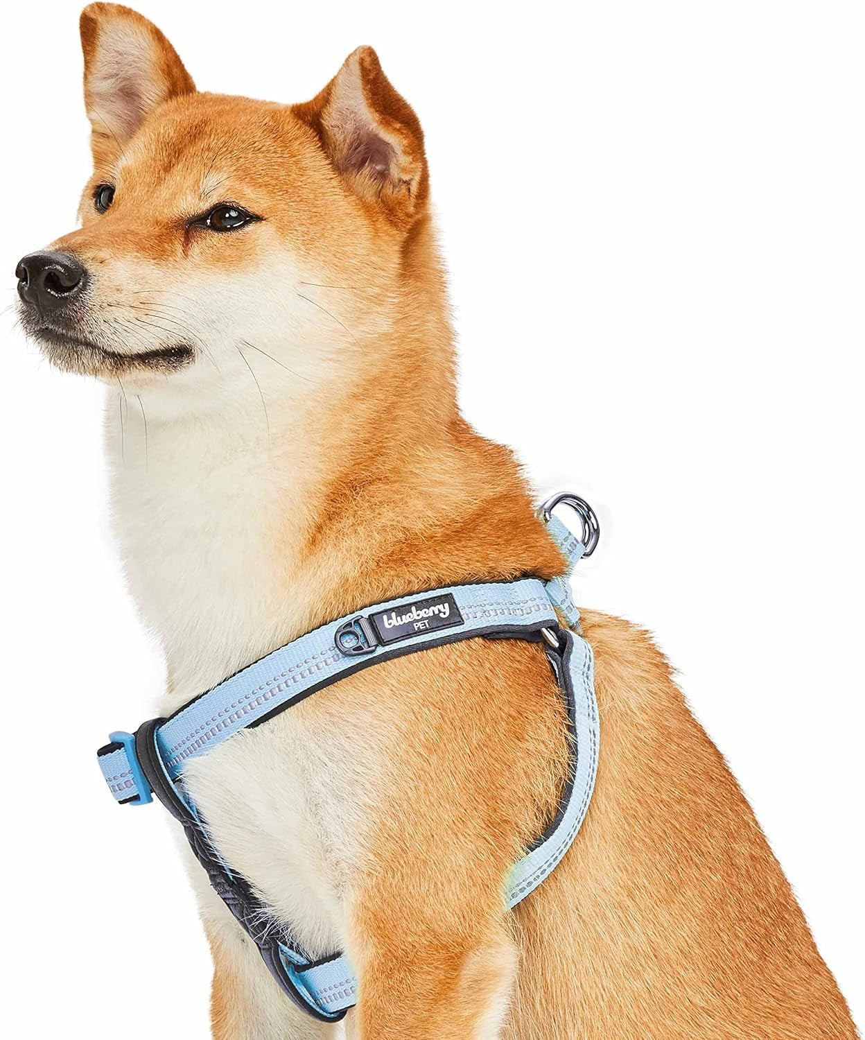 New 3M Reflective Step-In Pastel Baby Blue Neoprene Paddd Dog Harness, Small