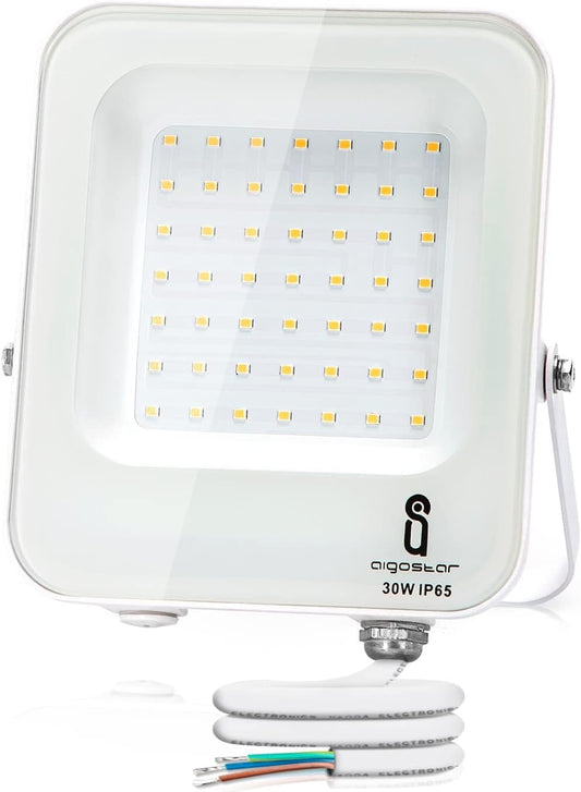 - Faretto LED per Esterni Da 30W 2700Lm, IP65 Impermeabile, Luce Di Sicurezza Impermeabile, Bianco Naturale 4000K Faretto LED Da Giardino, Cortili, Garage, Parchi, Ecc.