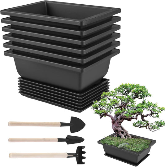 Set Di 6 Vasi in Plastica per Bonsai Con Vassoi: Vasi Rettangolari in Plastica per Bonsai Con Set Di Attrezzi Da Giardino, Vaso Da Fiori in Plastica per Bonsai per Soggiorno,Ufficio,Balcone,Giardino