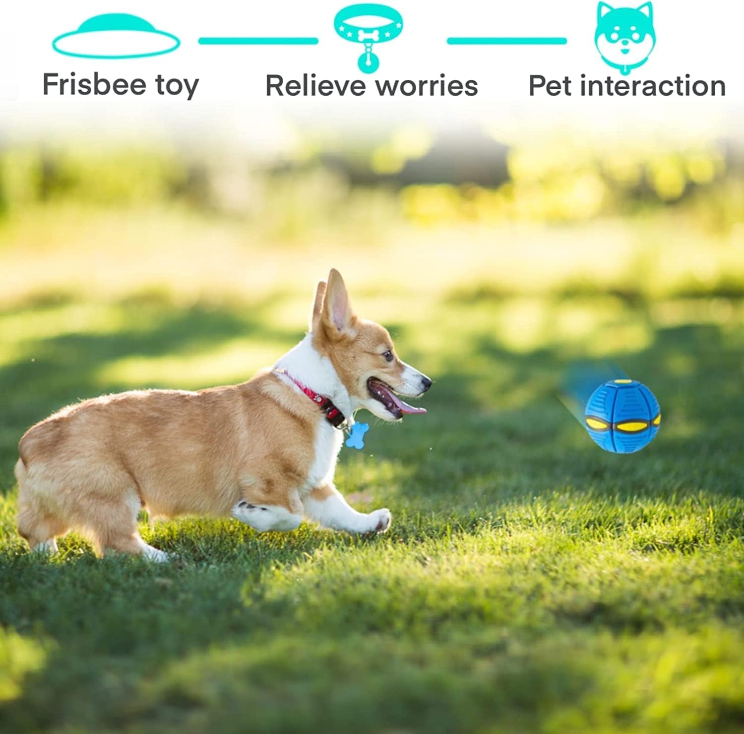 Giocattolo per Animali Domestici, Palla Da Frisbee, Piattino Volante, Palla per Cani, Palla Volante per Cani, Giocattolo per Animali Domestici, Palla Da Frisbee, Palla Volante, Giocattolo per Animali