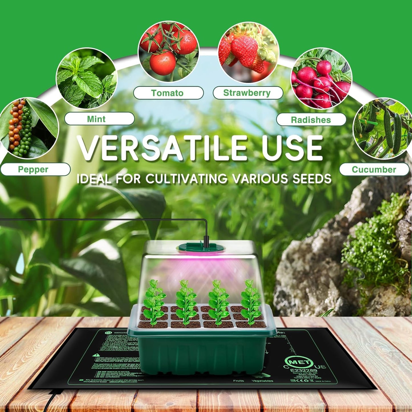 Vassoio Germinazione, 5 Pezzi Mini Serra Germinazione Con Tappeti Riscaldati, Luminosità Regolabile E Regolatore Di Temporizzazione, Propagatore Di Semi Kit per Germinazione Coltivazione