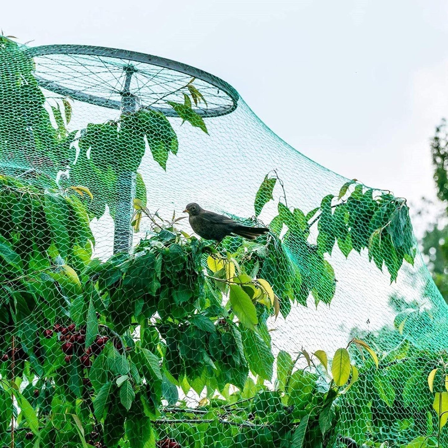 4 X 10 M Rete Di Protezione Dagli Uccelli, Da Giardino per Piante Stagni Frutti Verdura