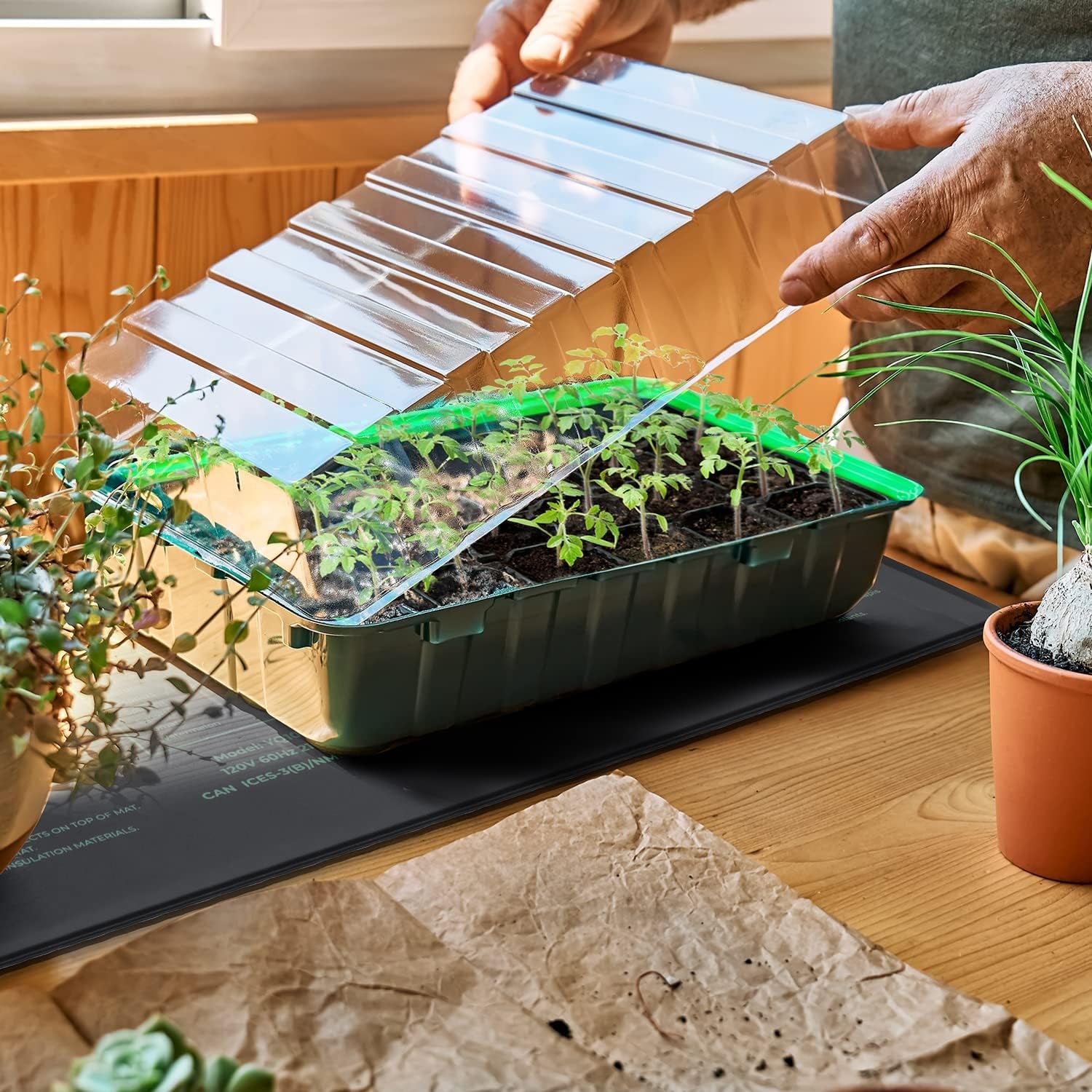 Tappetino Riscaldante Tappeti Riscaldanti per Animali Idroponica 2 Pezzi, 21 Watt Tappeto Piastra Riscaldante per Serra Germinazione Giardino Idroponica Rettile Terrario, 25X52 Cm