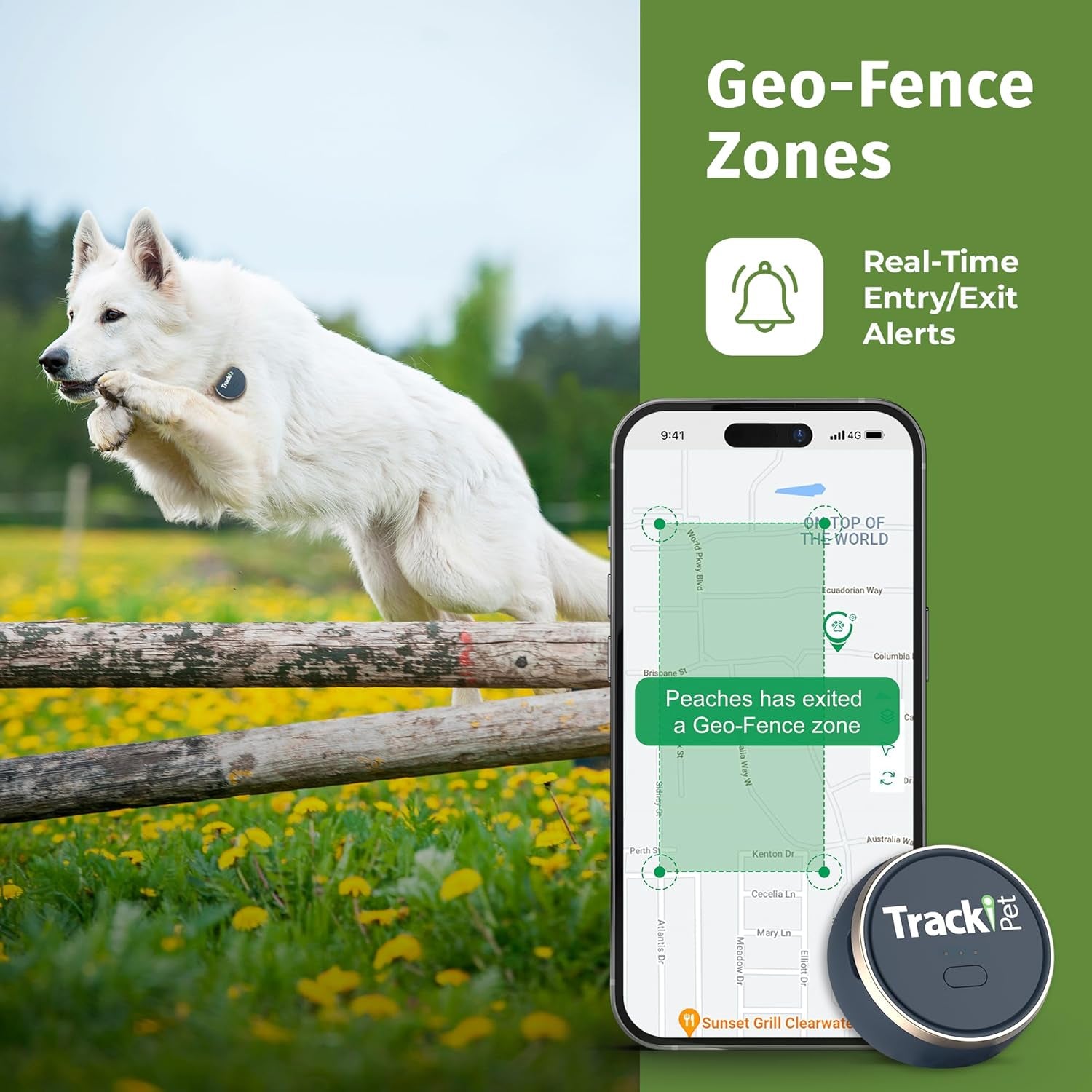pet Localizzatore GPS per Cani - Abbonamento Richiesto - Localizzatore Localizzatore Mini, SIM Adatto a Tutti I Collari, Localizzazione Live, Portata Illimitata IP67
