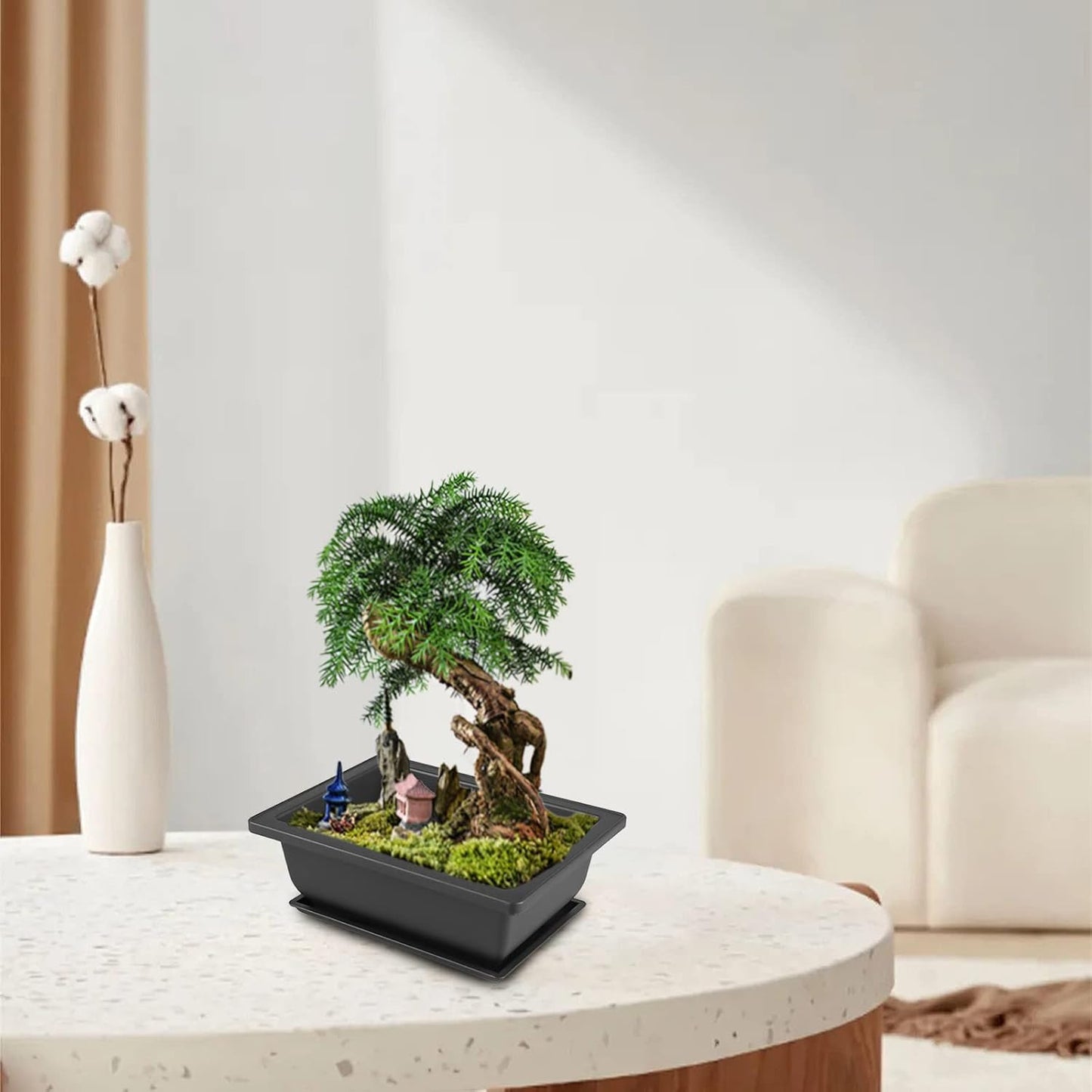 Set Di 6 Vasi in Plastica per Bonsai Con Vassoi: Vasi Rettangolari in Plastica per Bonsai Con Set Di Attrezzi Da Giardino, Vaso Da Fiori in Plastica per Bonsai per Soggiorno,Ufficio,Balcone,Giardino